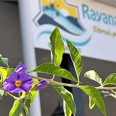 酒店 Rayana 马尔马里斯